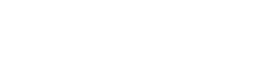 StoreGentic